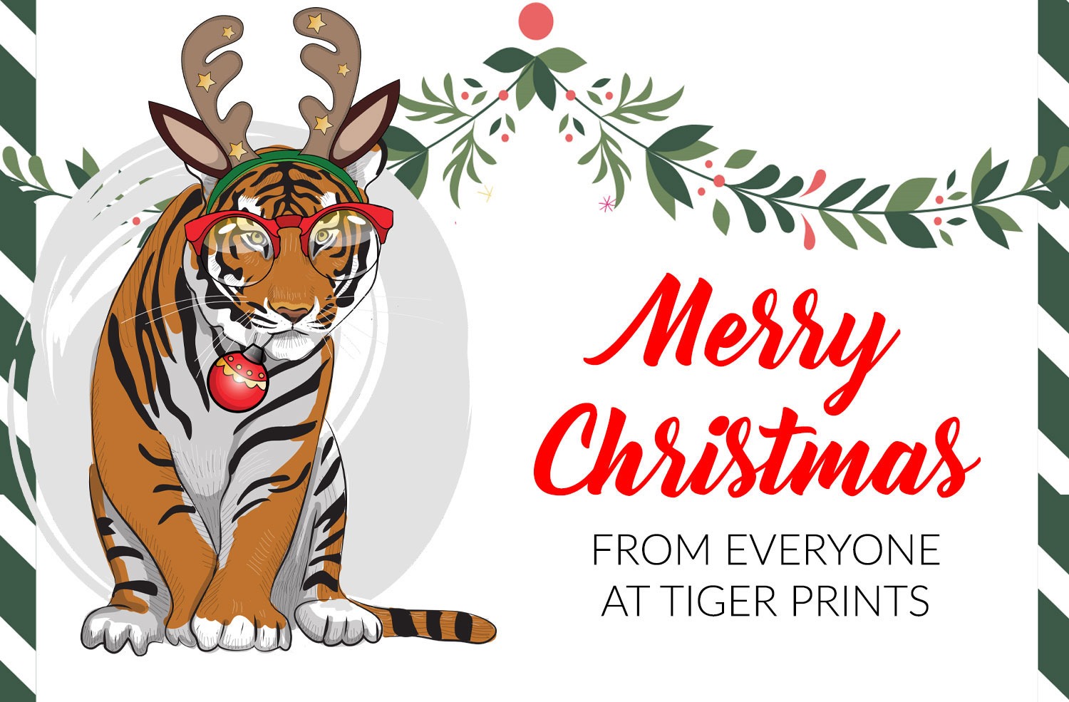 Merry Xmas From Everyone At Tiger Prints